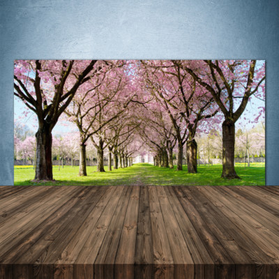 Küchenrückwand aus Glas ESG Spritzschutz 140x70cm Fußpfad Bäume Natur