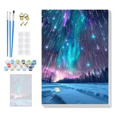 Christmas Paint by Numbers for Adults Beginners Aurora DIY Canvas Wall Art Set