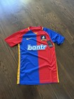 Nike Bantr AFC Richmond Futbol Soccer Jersey Adult Men's Size Small Ted lasso  — photo 1