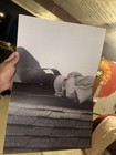 Hayley Williams Signed Ego Death At A Bachelorette Party Vinyl LP Autograph — photo 7