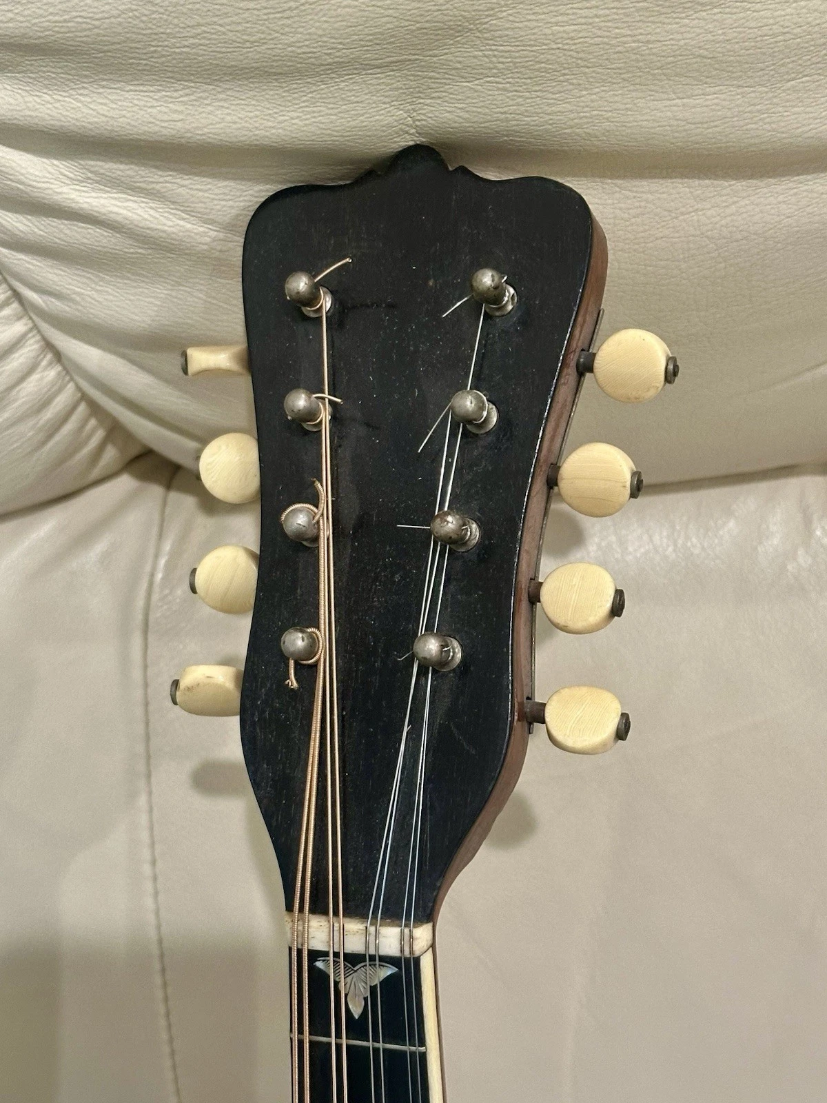 Picture 8 of 22
