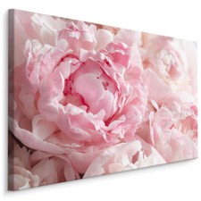 CANVAS Leinwand Bilder XXL Wandbilder Pfingstrosen Pflanzen Blumen Natur 371