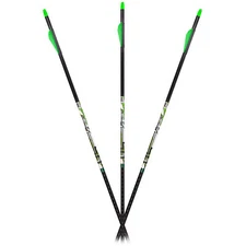 Carbon Express D-Stroyer PileDriver Arrows