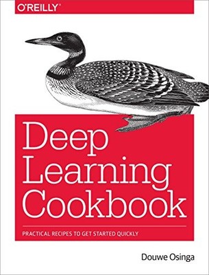 DEEP LEARNING COOKBOOK: PRACTICAL RECIPES TO GET STARTED By Douwe Osinga *VG+*