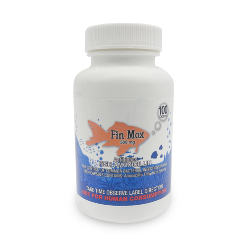 Buy FOR FISH AQUARIUM USE AQUA 500mg 100 SHIP FROM USA – FREE FAST SHIPPING – Best Price & Deal Buy FOR FISH AQUARIUM USE AQUA 500mg 100 SHIP FROM USA – FREE FAST SHIPPING – Best Price & Deal