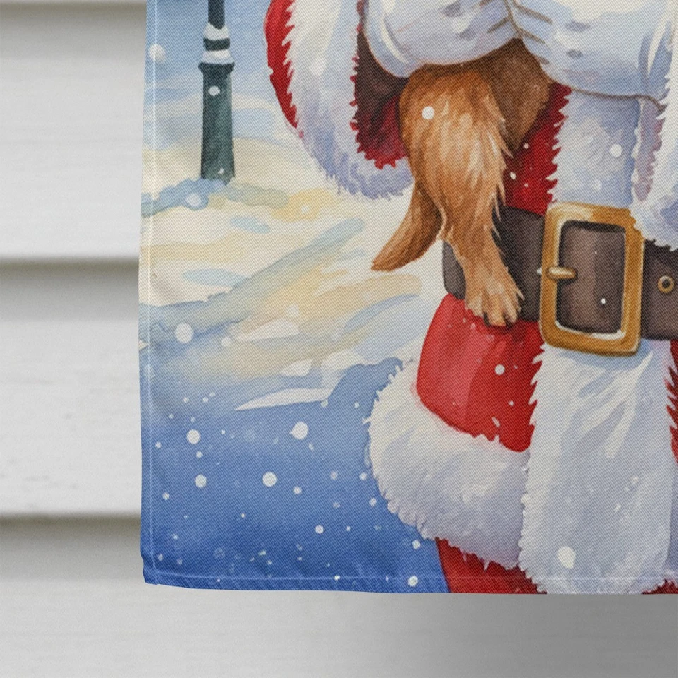 Caroline's Treasures Norwich Terrier con bandera de la casa de Santa Claus FNT1062CHF Foto 4 de 4