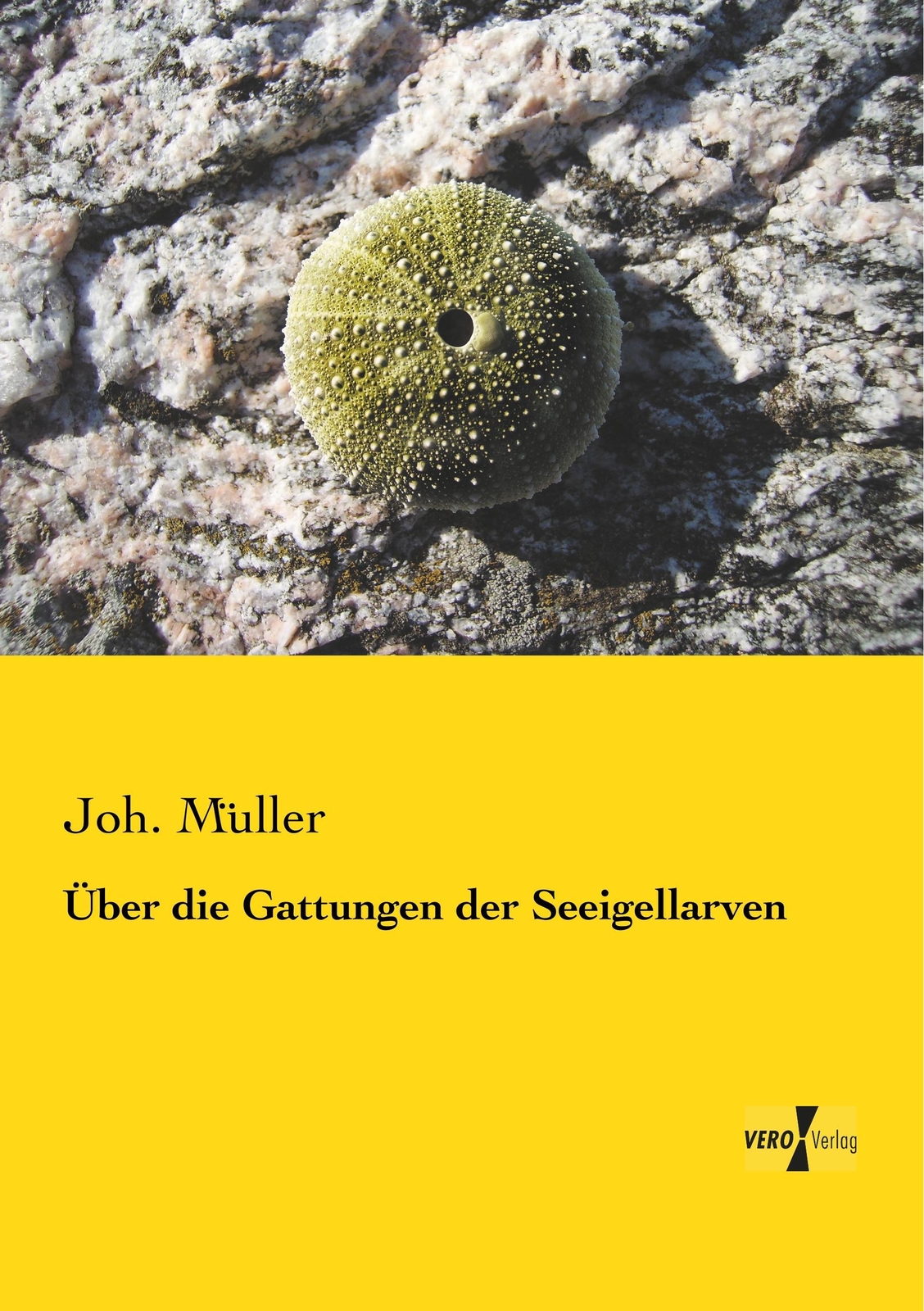 Thumbnail - Joh. Müller | Über Die Gattungen Der Seeigellarven | Taschenbuch |