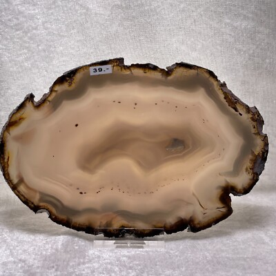 Achat Scheibe 11,8 cm x 17,4 cm Agate Slice Achatscheibe Agate