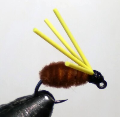 6 Brown Bully Spider Fly - Bull Bluegill Spider for, Panfish, Bass, Trout bream