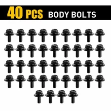 40 Body Bolts Screw M6-1.0x 16mm Long- 10mm Hex- 17mm Washer Fastener Fender EXV