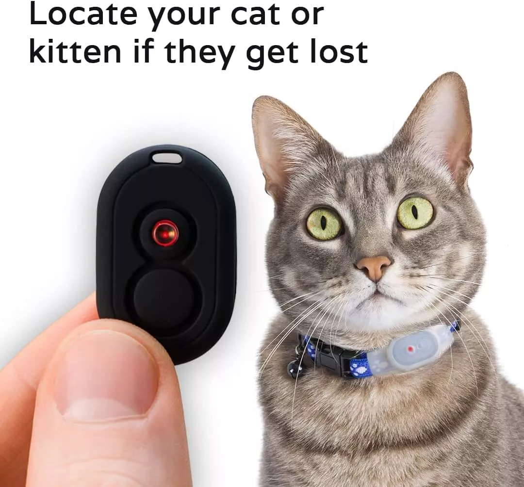 Cat tag cheap tracker