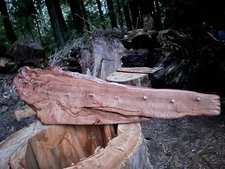 Curly Redwood Slab Jean Rack