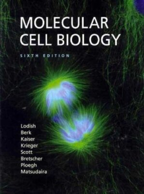Molecular Cell Biology  by Harvey Lodish