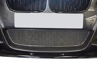 BMW M135I - Unterer Grill - Silbern (2012 - 2015)