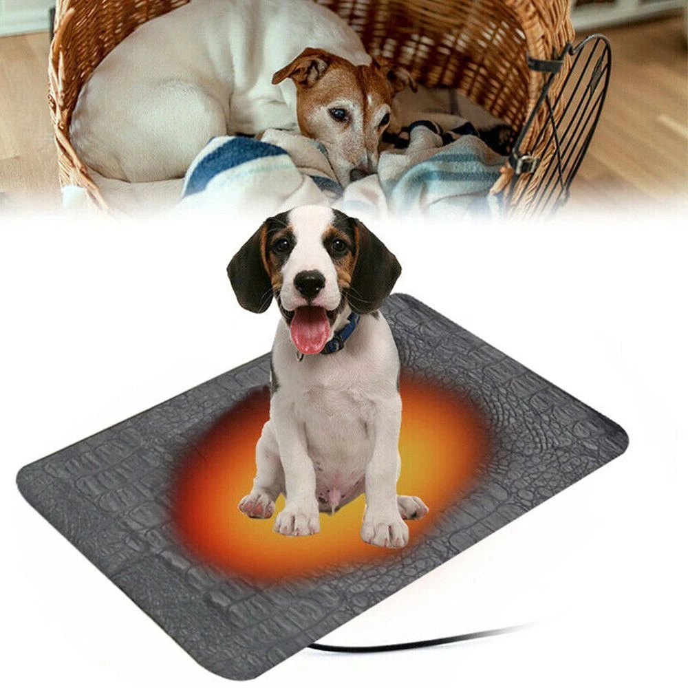 Best dog top heating pad