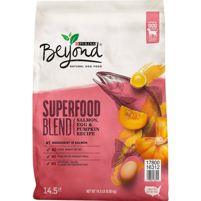purina beyond dog