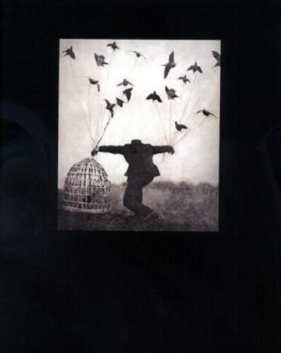 Robert and Shana ParkeHarrison: the Architect's Brother (2000