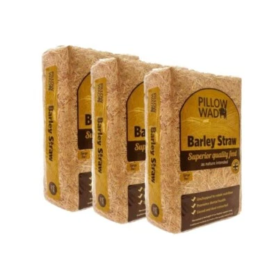 Pillow Wad Barley Straw, Large (2 Kg x 3 Pack)