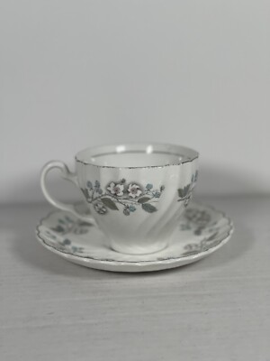Antique Johnson Bros Tea Cup & Saucer Floral, Blackberries, Raspberries, Regency