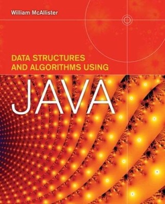 Data Structures And Algorithms Using Java - Paperback - GOOD