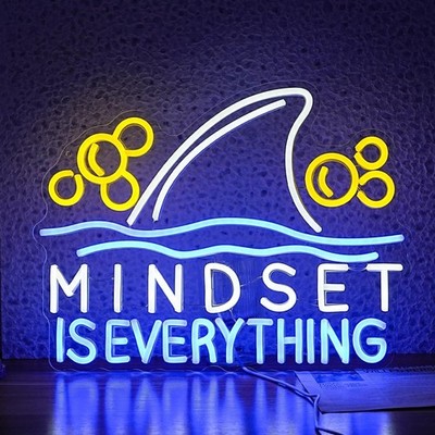 16''x12'' Mindset Is Everything LED Neon Sign With Dimmer USB Powered Light Lamp