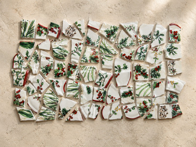 assortment of broken plates for mosaic 