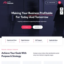 Business Websites Design for Sale with Free VPS Web Hosting