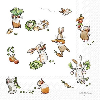 NEU`26 Anita Jeram 20 Servietten''Little Farmers''Hase Hamster Vogel Sommer 33x33