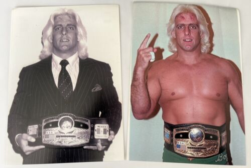 Wwe Wrestler Ric Flair Photo Wrestling WWF 8x11 Inch Print Poster NWA Horsemen - Picture 1 of 1