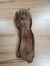 Gebogen Ast ausgefallen extravagant  Schwemmholz Treibholz 33 x10 x 6cm