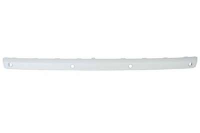 Trim/Protection Strip, Bumper BLIC 5703-05-3515974P