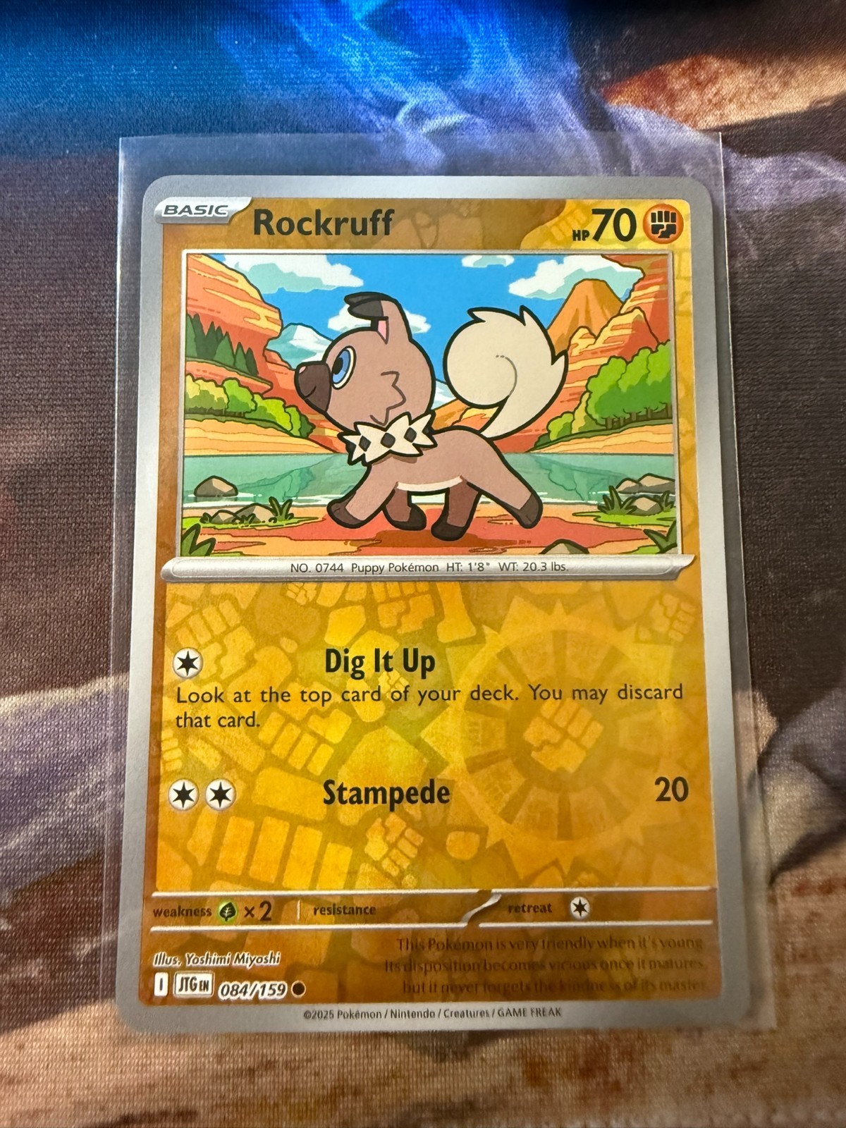 Rockruff 084/159 Sv09: Journey Together Reverse Holo
