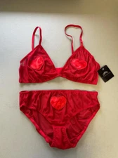 MSRP $49 Just Sexy Red Mesh Heart Bralette & High-Cut Briefs Red Size Large
