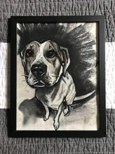 charcoal art portrait drawing abandoned dog by outsider Mark Robinson 12x9