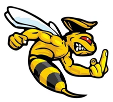 ANGRY BEE SUPER BEE RIGHT WITH MIDDLE FINGER REVERS BUMPER STICKER DECAL Hard