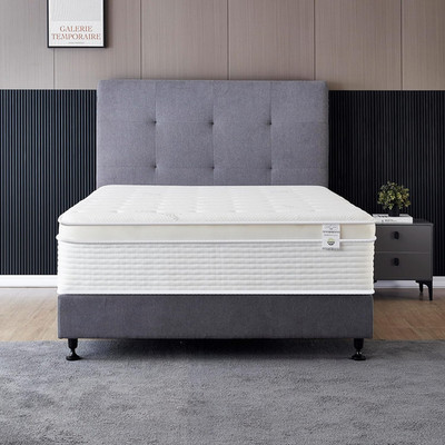 14'' Cool Memory Foam & Spring Hybrid Mattress with Plush Euro Pillow Top