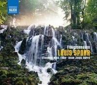 FlöTensonaten Von Elisabeth Möst | CD | Zustand Neu