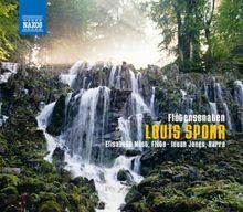 FlöTensonaten Von Elisabeth Möst | CD | Zustand Neu-image