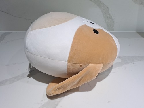 Squishmallows 12 Zoll Adela The Basset Hound Kelly Spielzeug SCHNELLE P&P - Bild 8 von 8