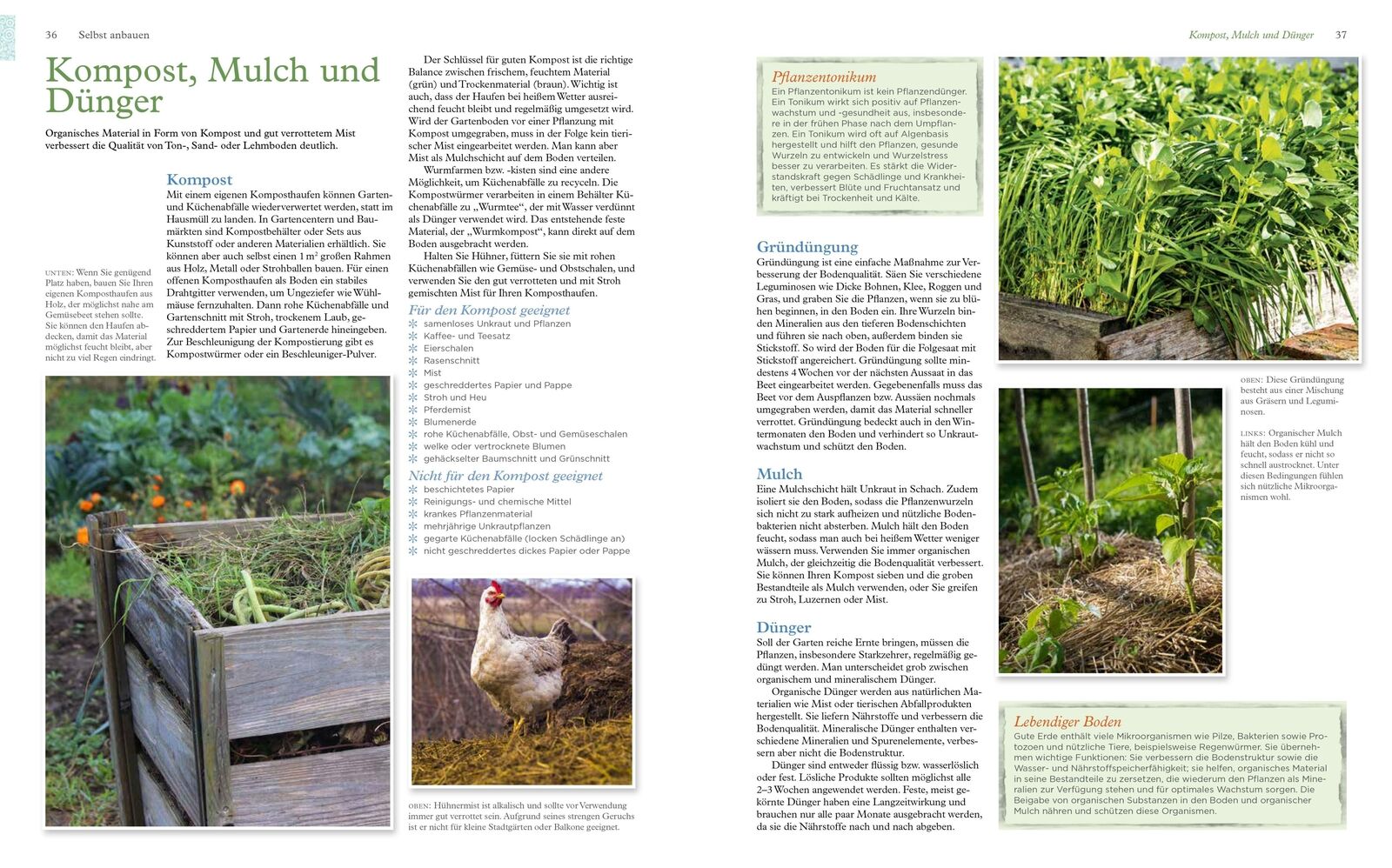 Thumbnail - Alles Über Gemüse | Schweiz Reader's Digest Deutschland | Taschenbuch