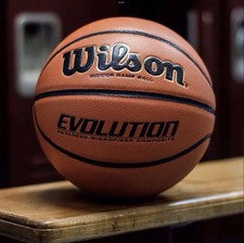 Wilson Evolution 29.5" Official Game Basketball