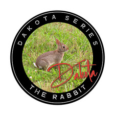 SIX of 3/64 Loaded SURVIVAL Snares 30 Rabbit ...