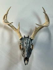 Carved Painted Buck Skull W/ Antlers Tabletop Display & Euro Mount Included