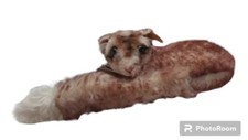 Dormy Edible Dormouse Stuffed Animal Steiff