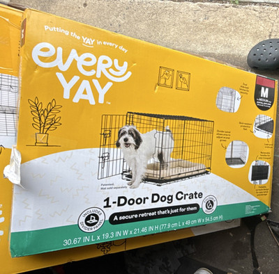 EveryYay 1-Door Steel Dog Crate Medium 30.67in x 19.33in x 24.46in for M Dogs