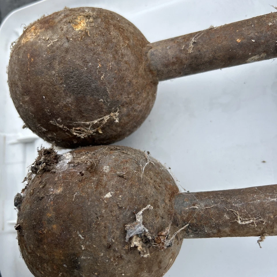 Mancuernas de hierro fundido vintage cabeza redonda peso manual 10 libras cada una lote de 2 Foto 3 de 3