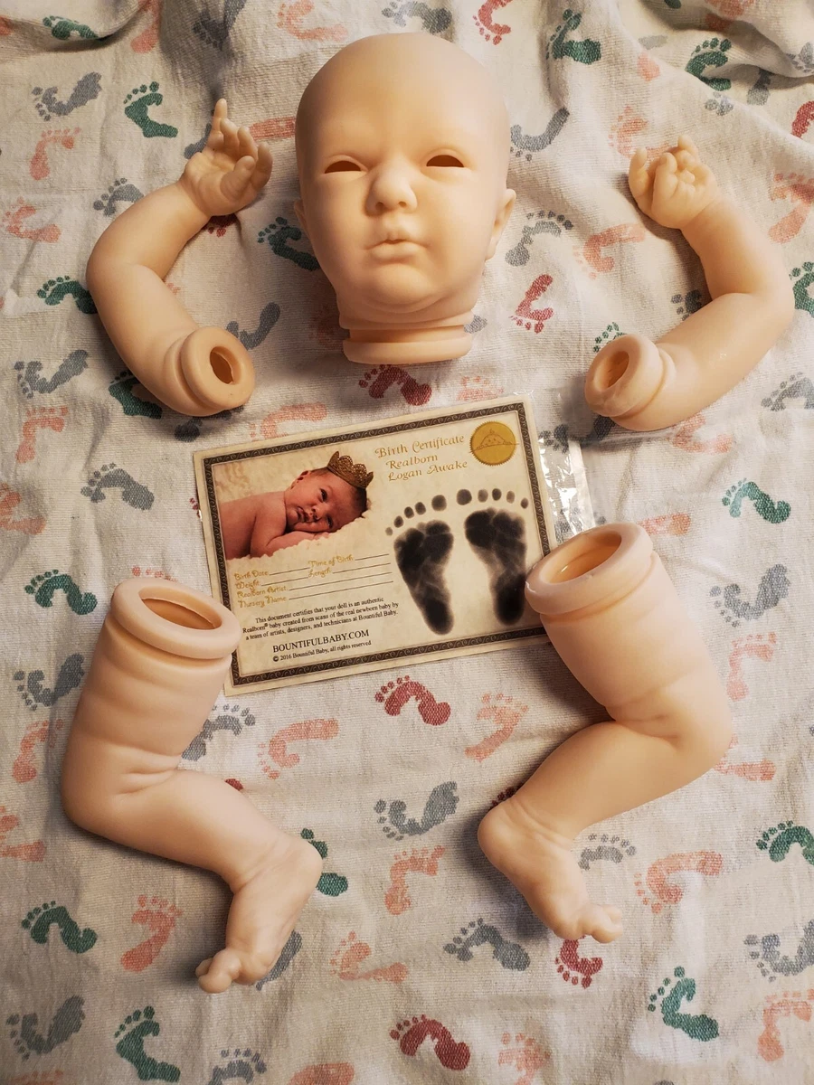 Logan awake sales reborn kit