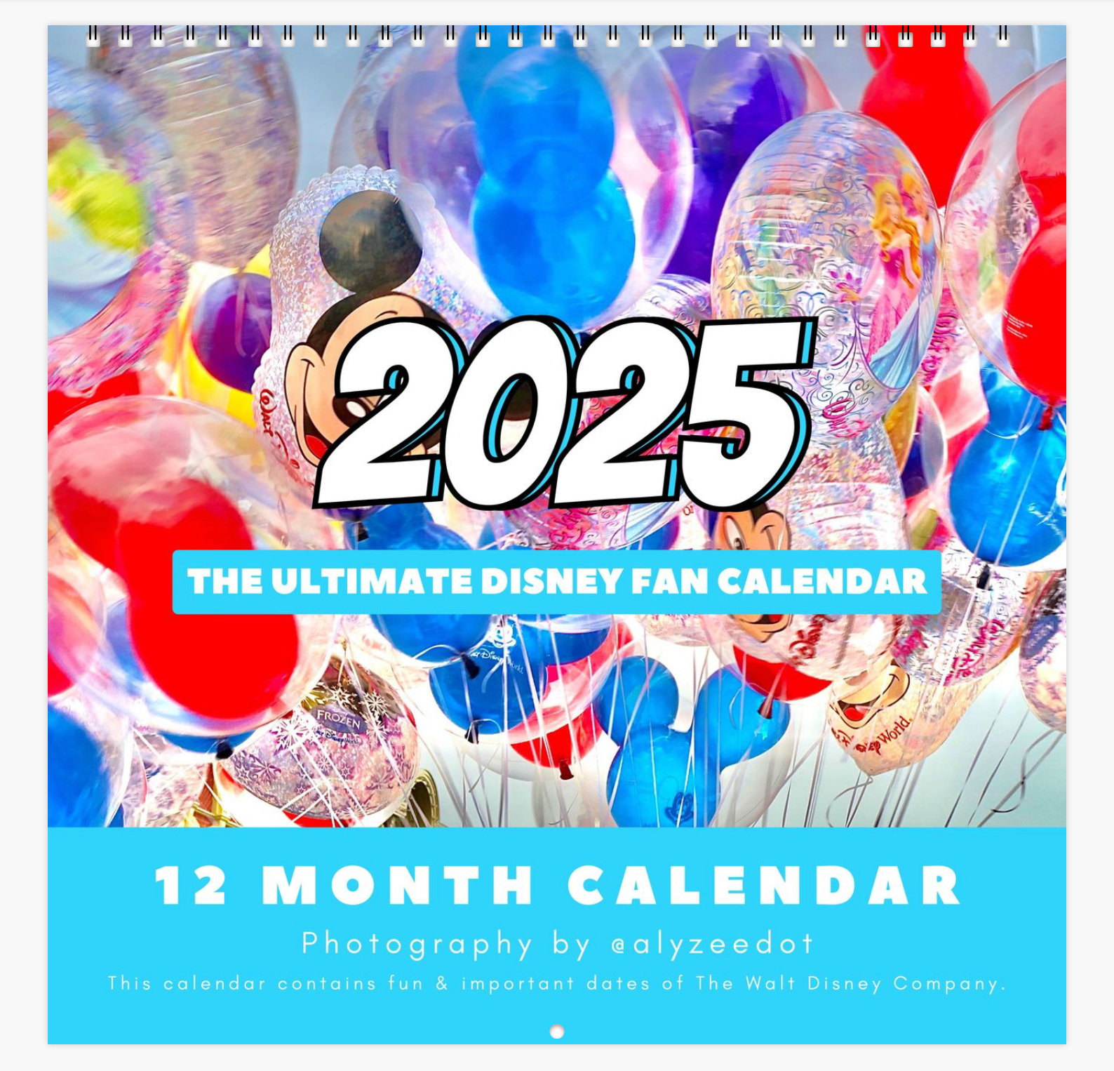 2025 Disney Wall Calendar 12x12 Fun History Dates Photos Disneyland