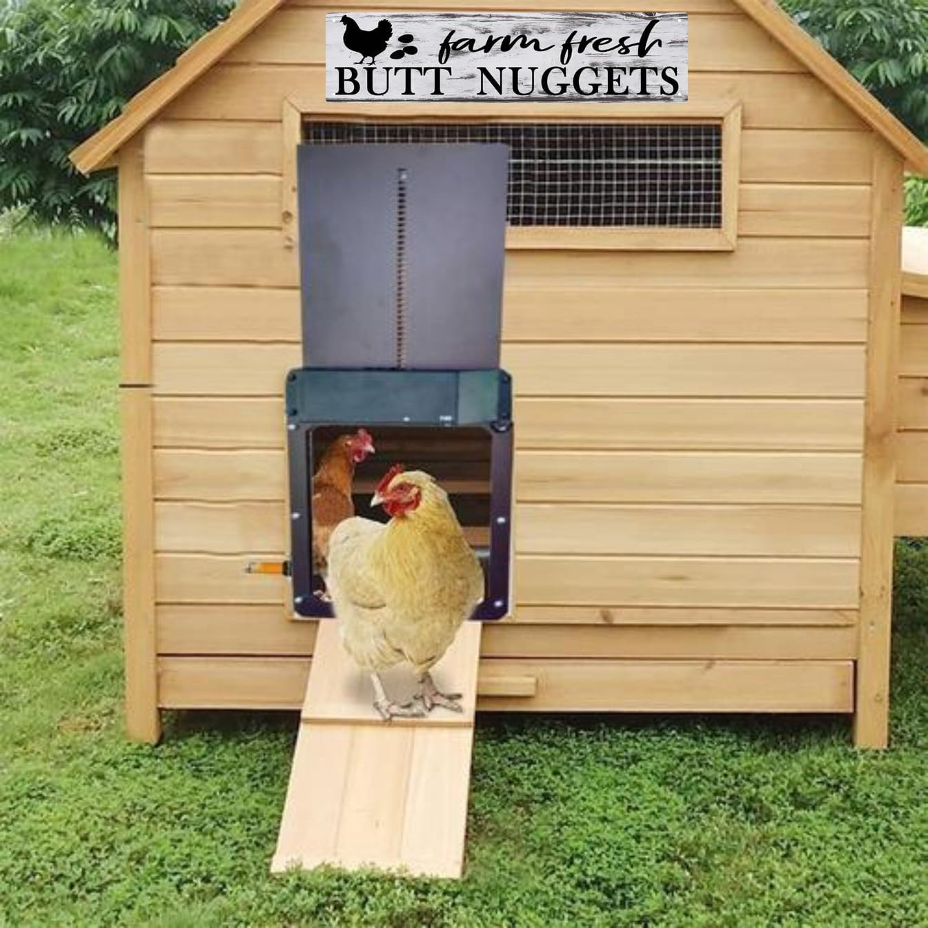 Chicken Coop Accessories Chicken Decor Farm House Decorations for Rustic Home Ki