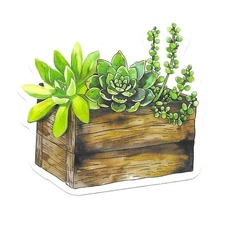 Vinyl Sticker Die Cut Succulent Mix Decal Wooden Box Planter Journal Scrapbook